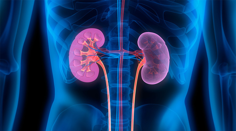 urolog